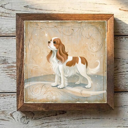 Cavalier King Charles Spaniel Blenheim - Variation 2