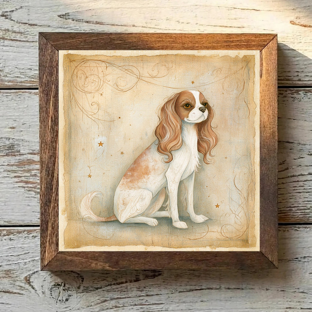 Cavalier King Charles Spaniel Blenheim - Variation 3