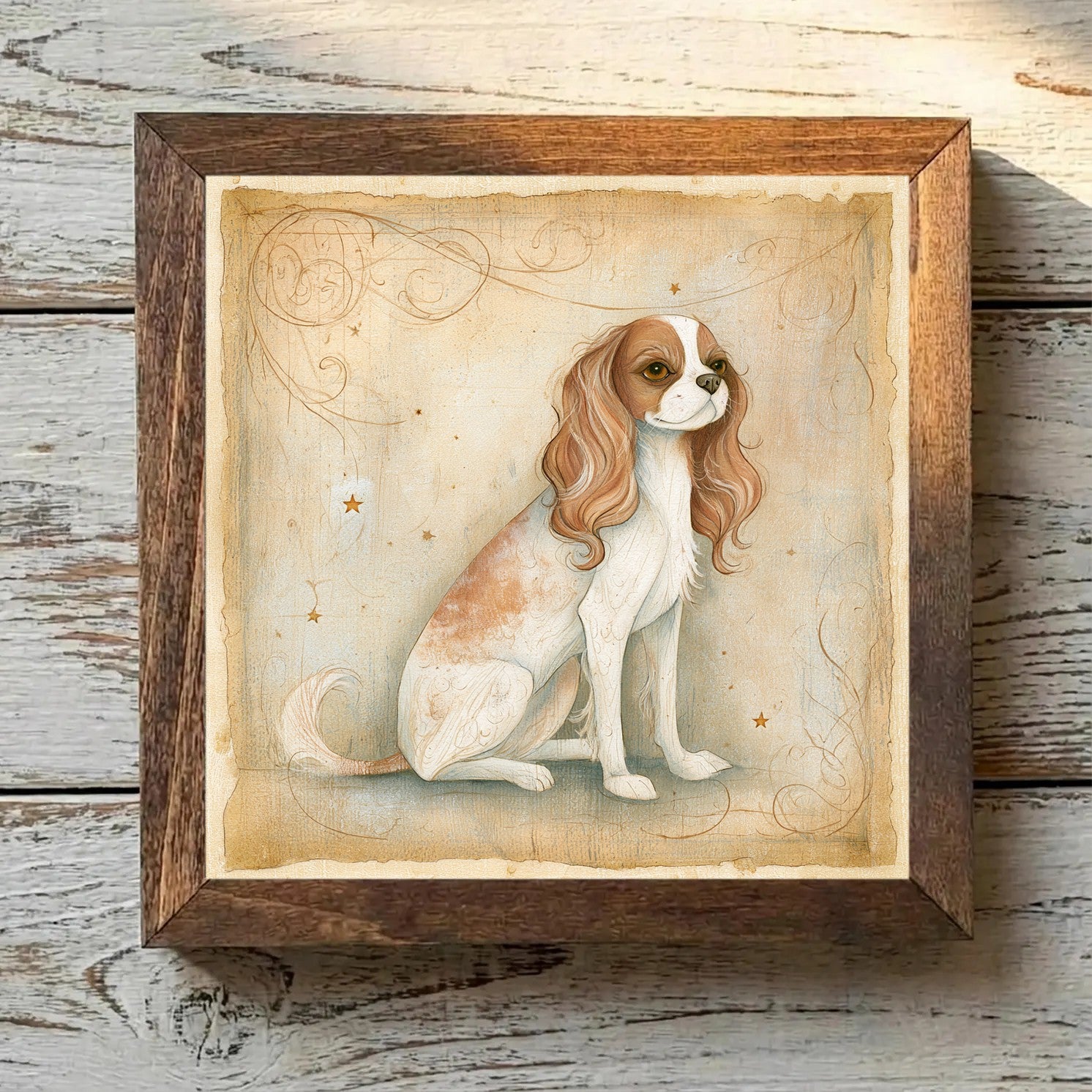 Cavalier King Charles Spaniel Blenheim - Variation 3