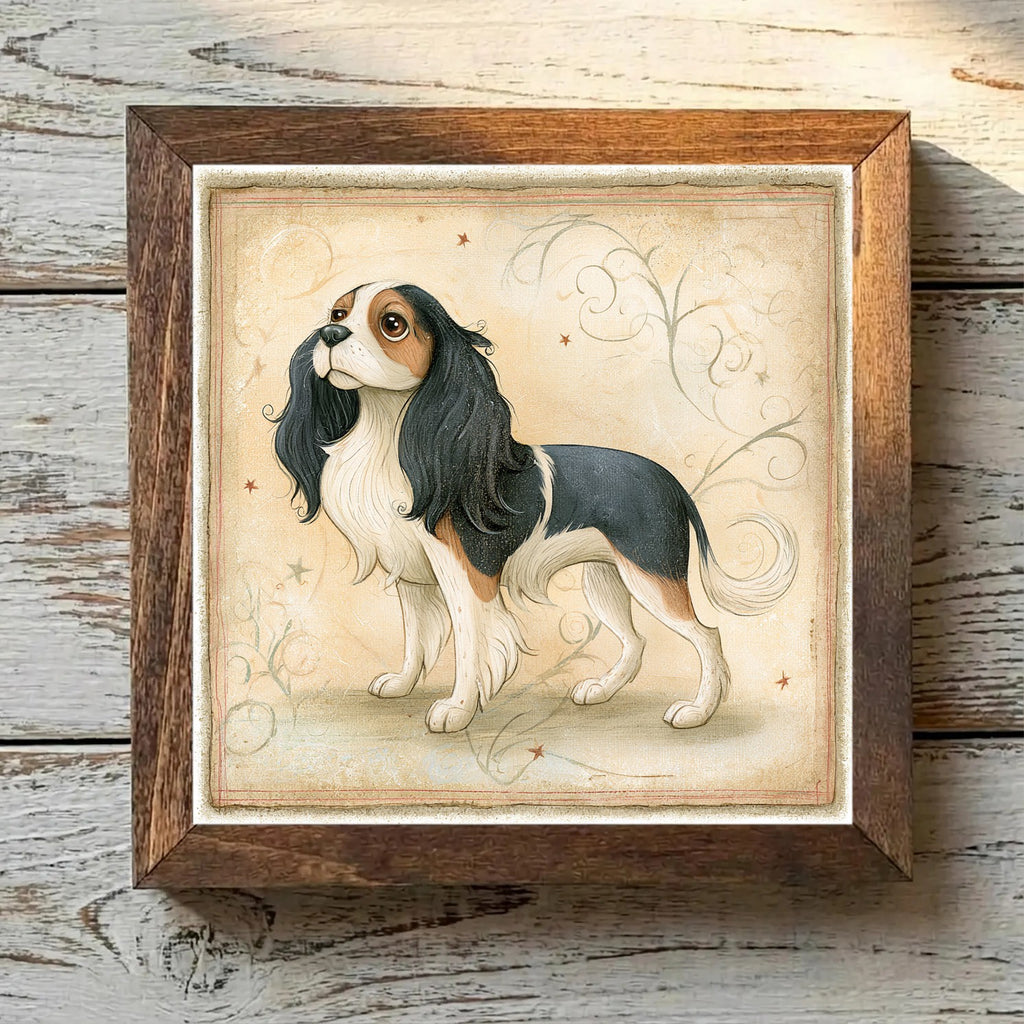 Cavalier King Charles Spaniel Tricolor - Variation 1