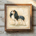 Cavalier King Charles Spaniel Tricolor - Variation 1