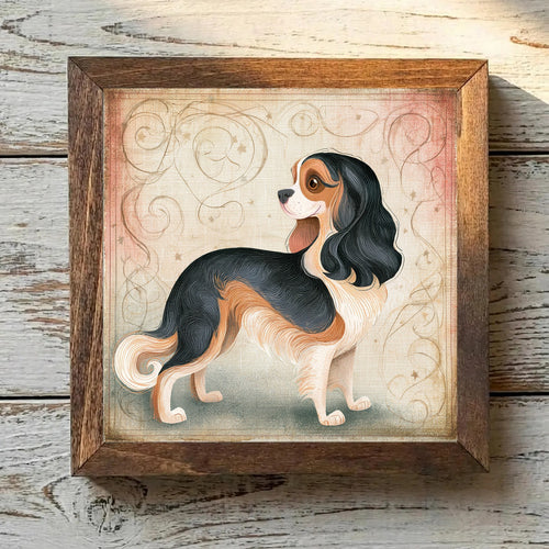 Cavalier King Charles Spaniel Tricolor - Variation 2