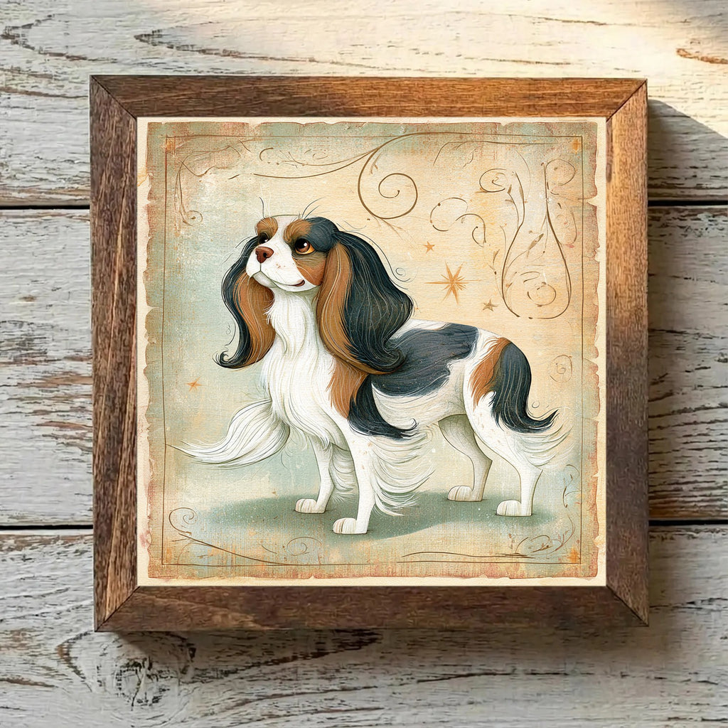 Cavalier King Charles Spaniel Tricolor - Variation 3