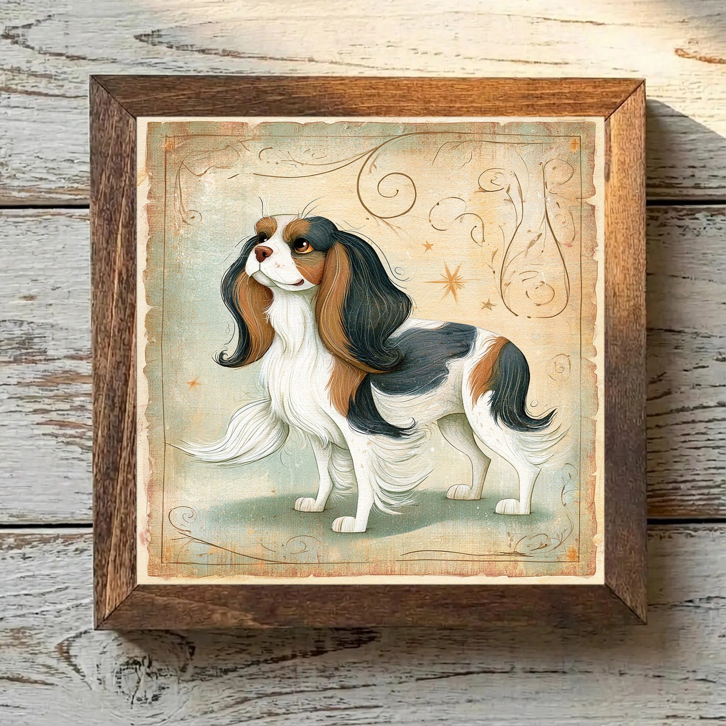 Cavalier King Charles Spaniel Tricolor - Variation 3