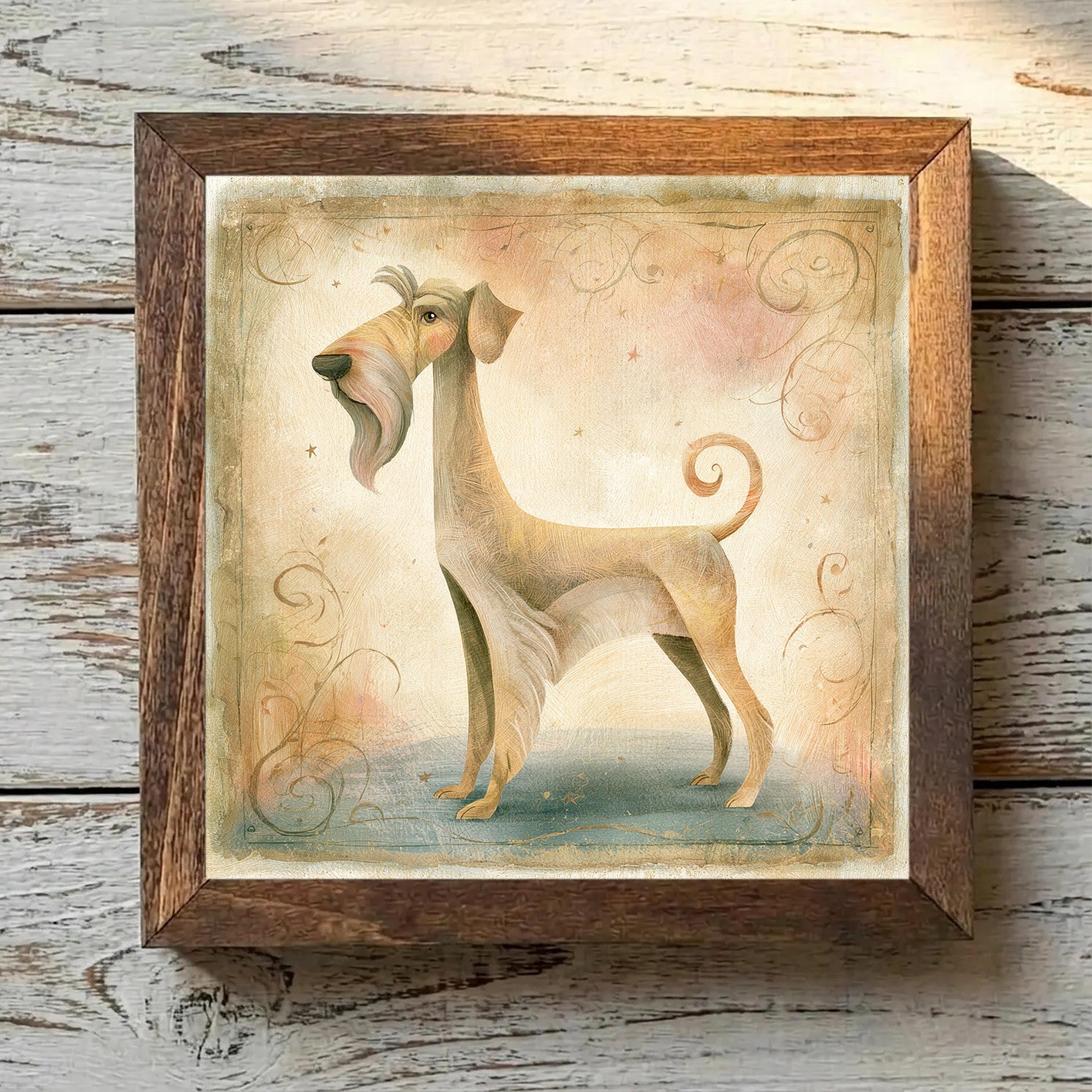 Cesky Terrier Light Coffee - Variation 3