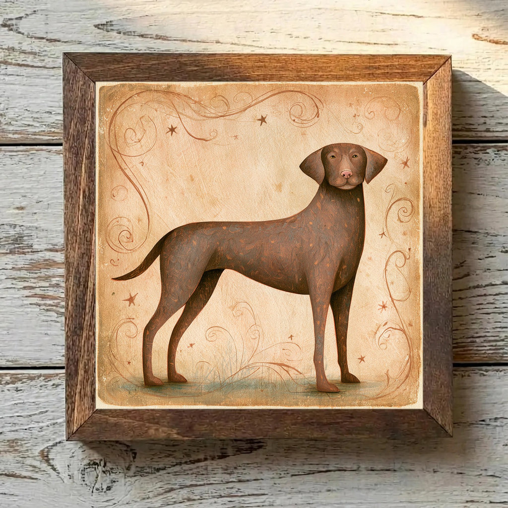 Chesapeake Bay Retriever Brown - Variation 1