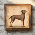 Chesapeake Bay Retriever Brown - Variation 1