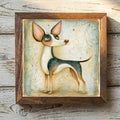 Chihuahua Tricolor - Variation 1
