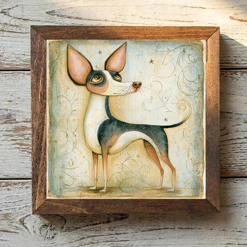 Chihuahua Tricolor - Variation 1