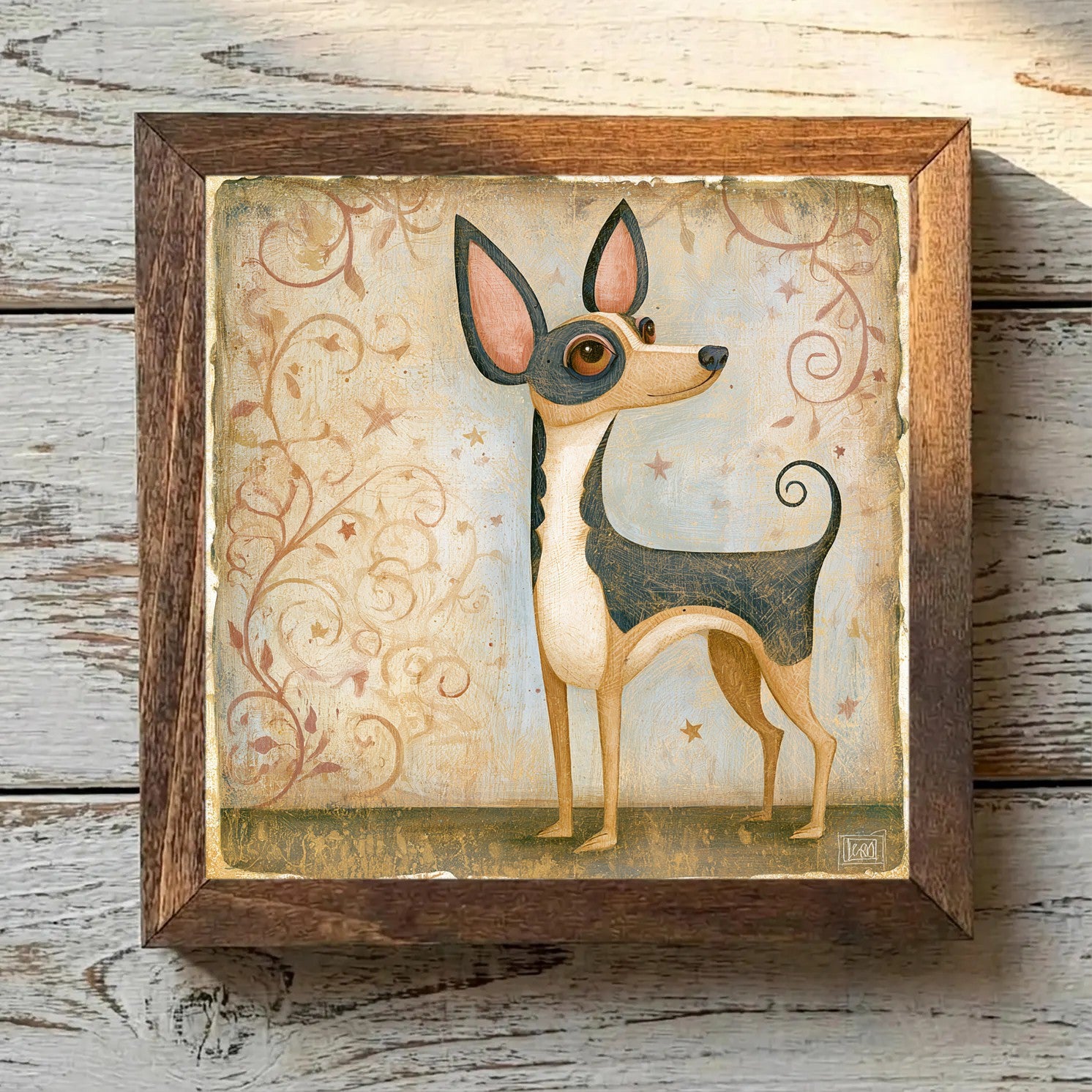 Chihuahua Tricolor - Variation 2