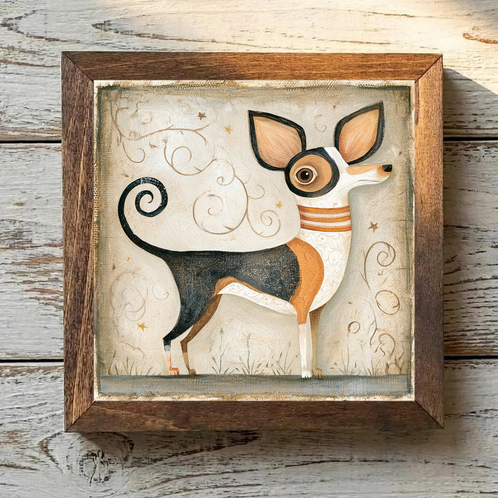 Chihuahua Tricolor - Variation 3