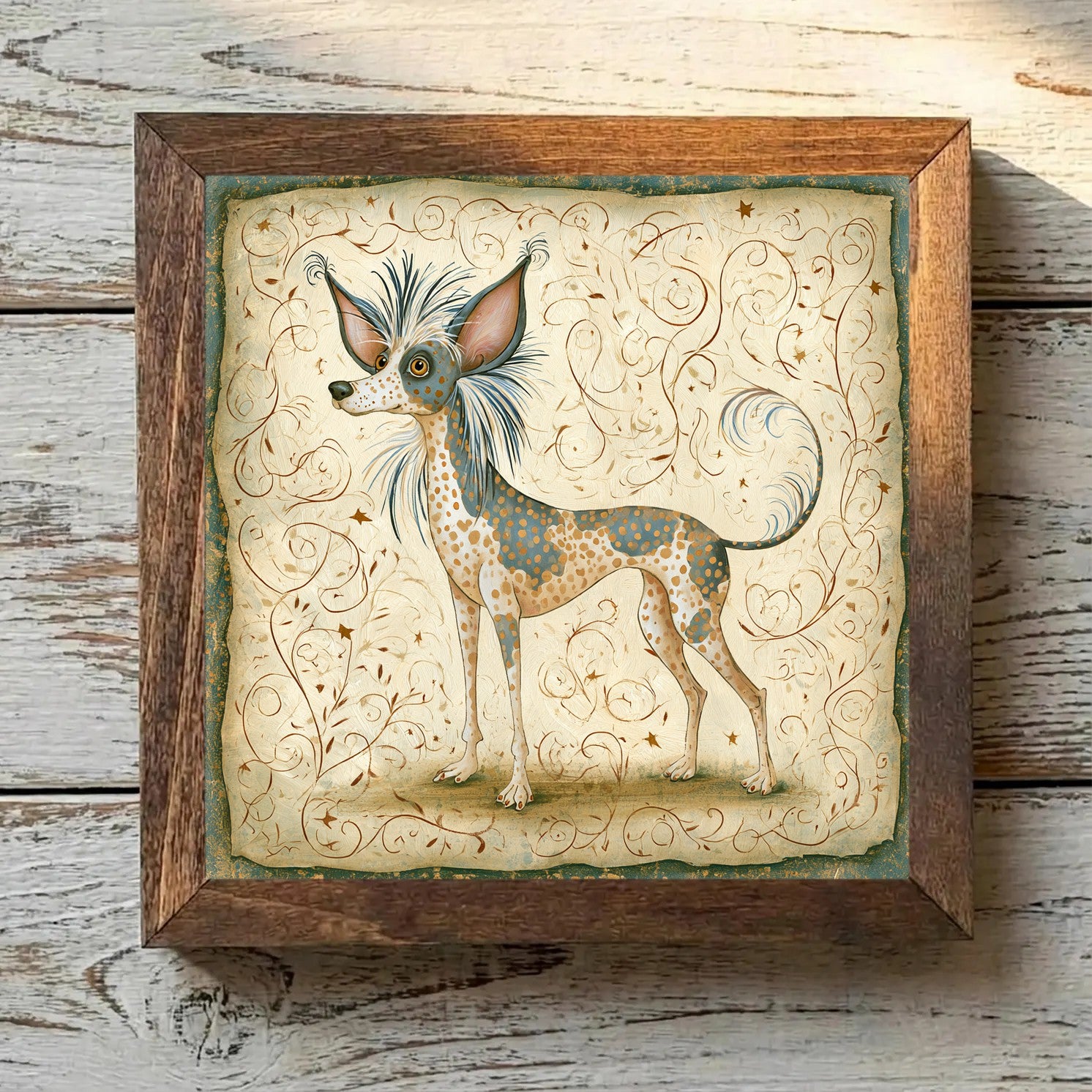 Chinese Crested Tricolor - Variation 1