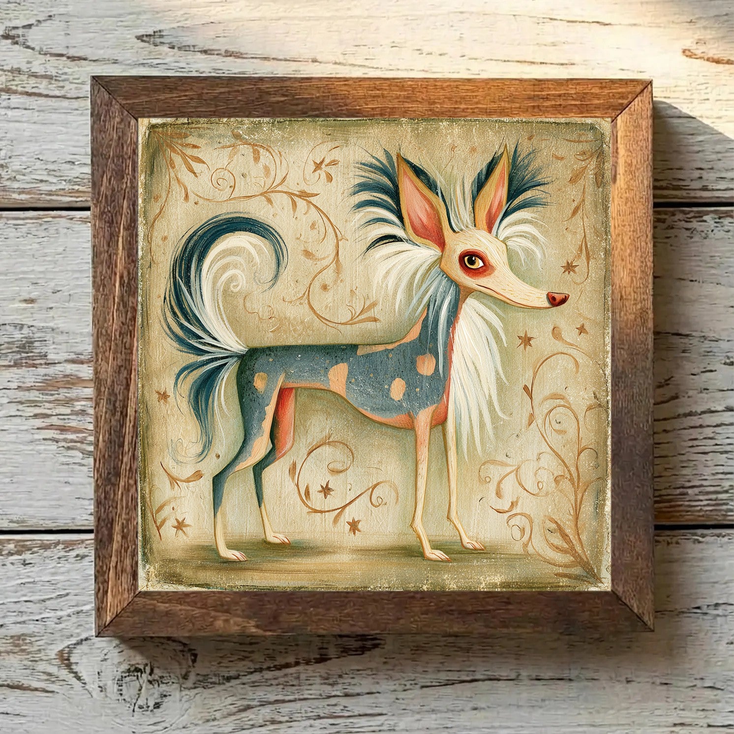 Chinese Crested Tricolor - Variation 2