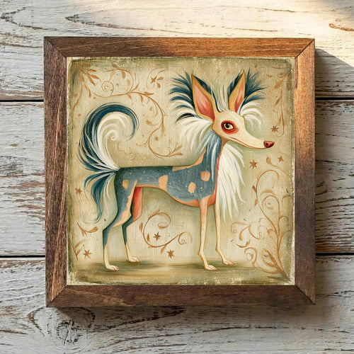 Chinese Crested Tricolor - Variation 2