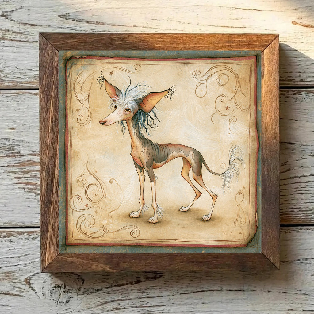 Chinese Crested Tricolor - Variation 3
