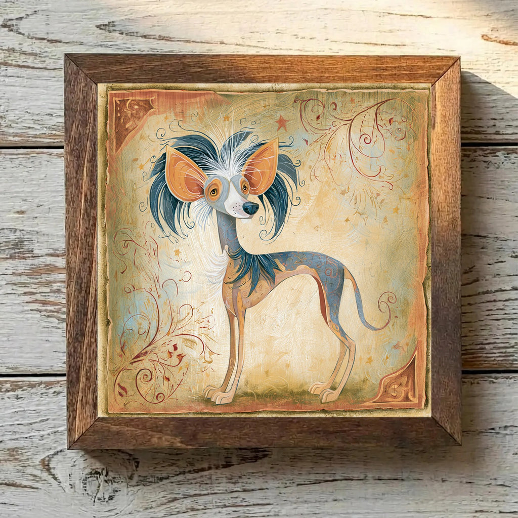 Chinese Crested Tricolor - Variation 4