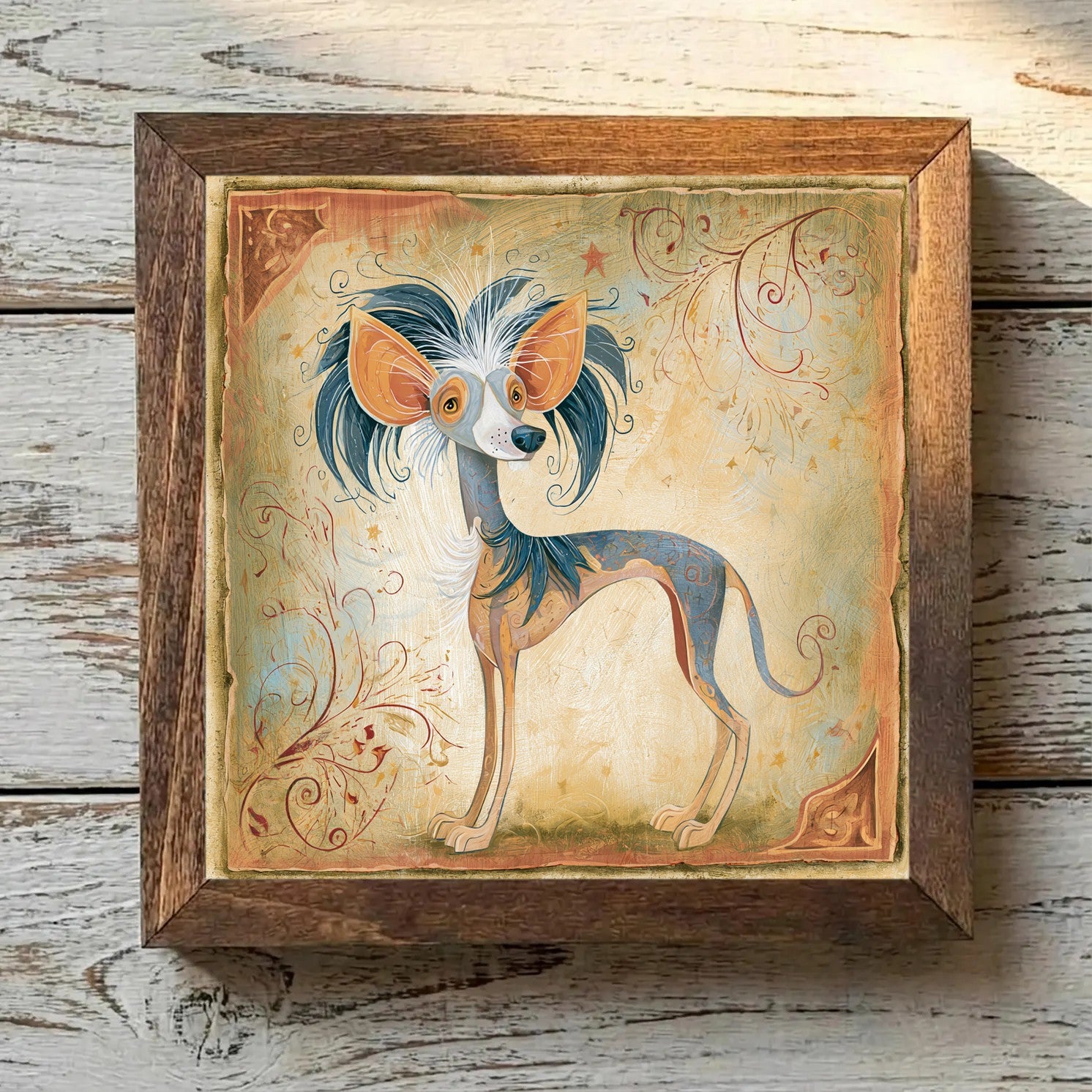 Chinese Crested Tricolor - Variation 4