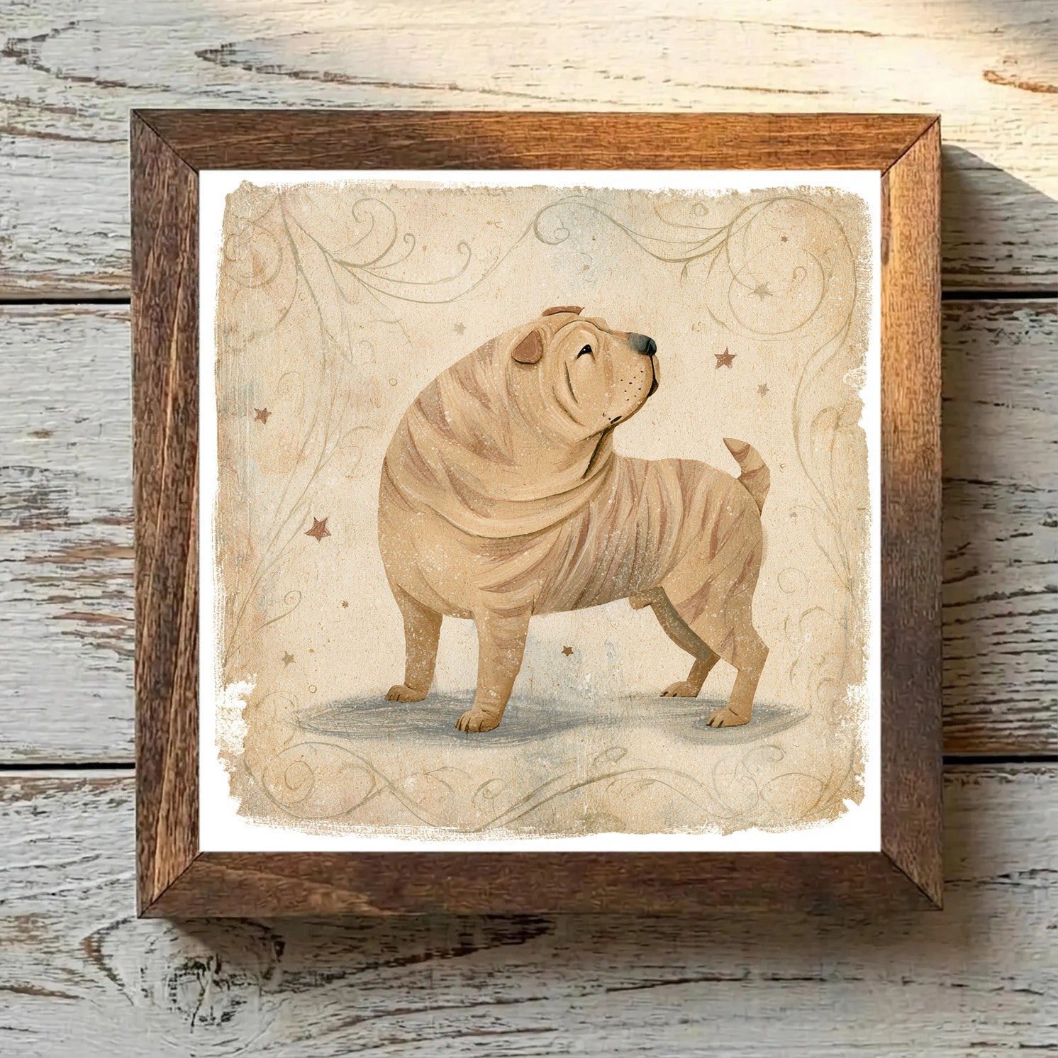 Chinese Shar-Pei Sable - Variation 1