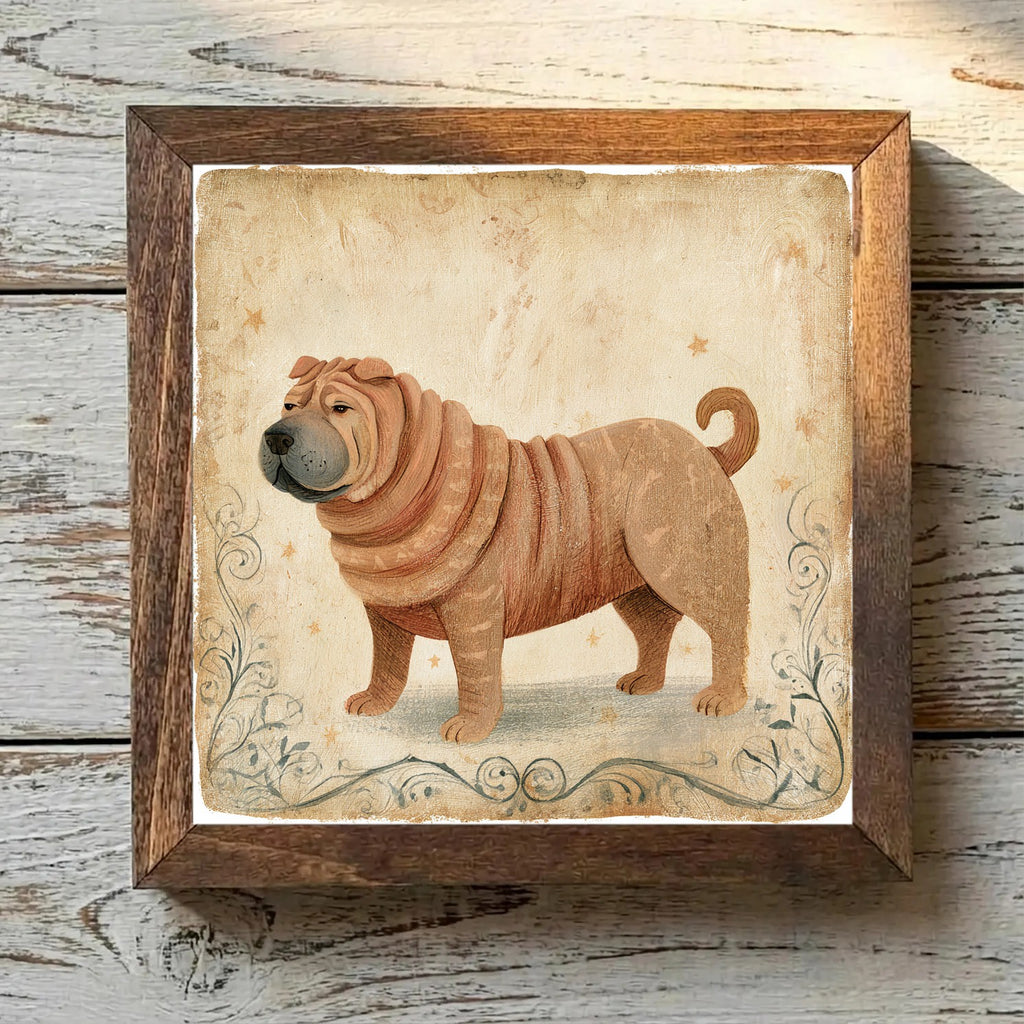 Chinese Shar-Pei Sable - Variation 4