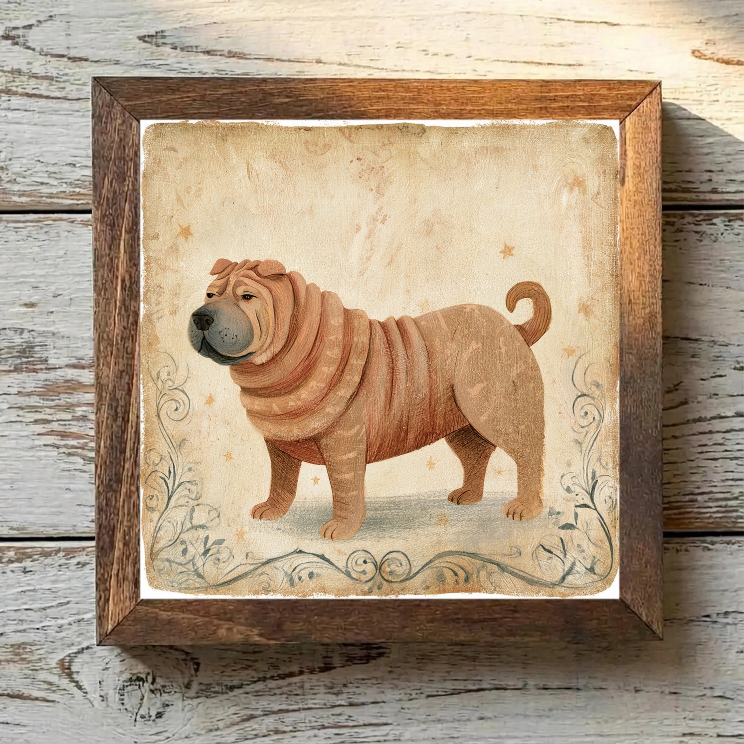 Chinese Shar-Pei Sable - Variation 4