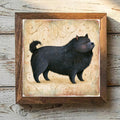 Chow Chow Black - Variation 1