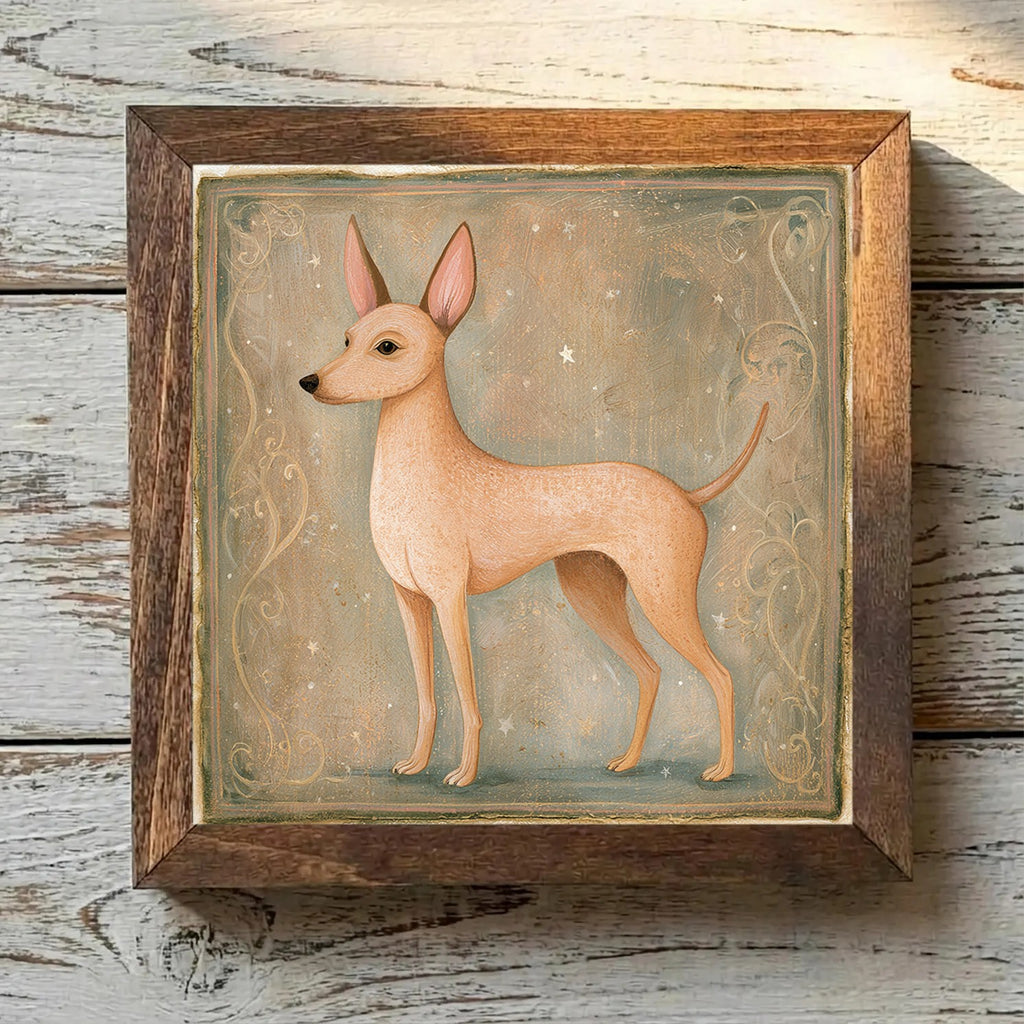 Cirneco dell'Etna Light Tan - Variation 2