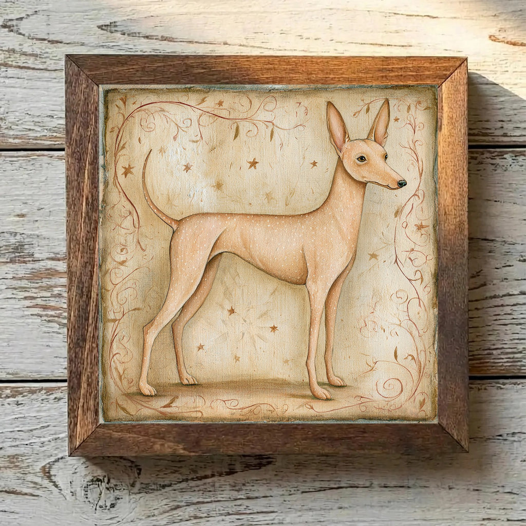 Cirneco dell'Etna Light Tan - Variation 3