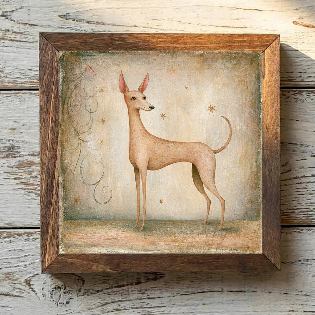 Cirneco dell'Etna Light Tan - Variation 4