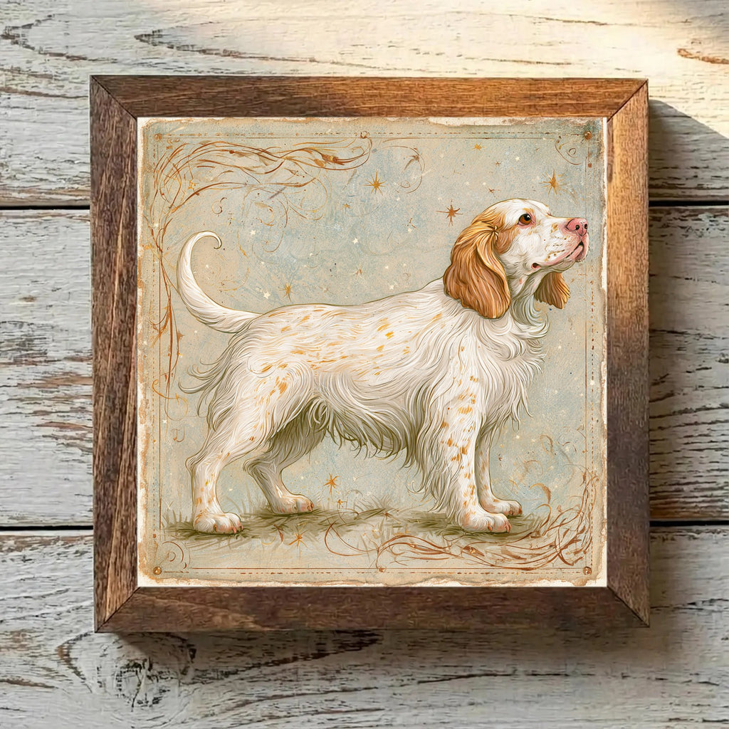 Clumber Spaniel White & Lemon - Variation 2