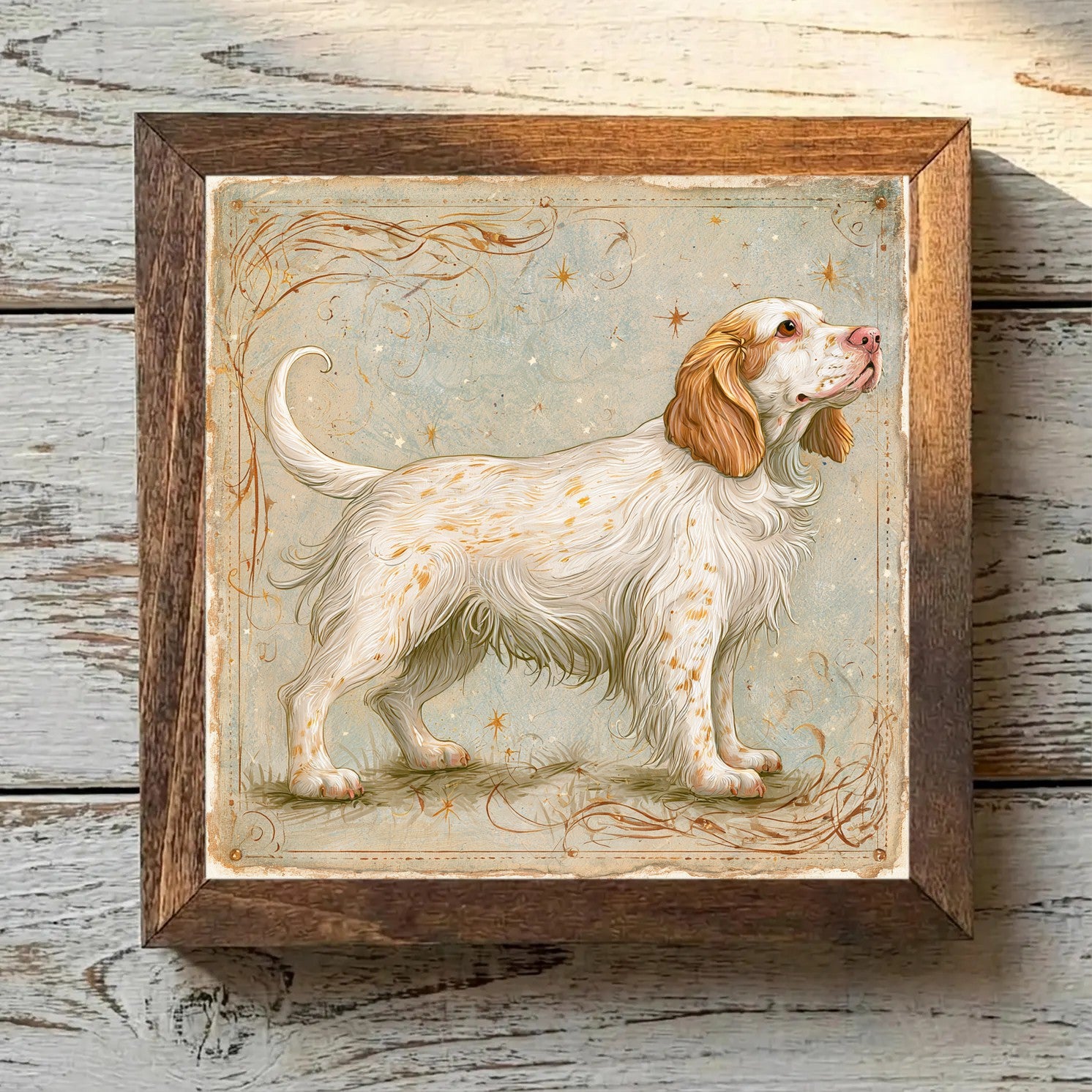 Clumber Spaniel White & Lemon - Variation 2