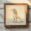 Cocker Spaniel Buff - Variation 1