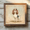 Cocker Spaniel Parti-color - Variation 1