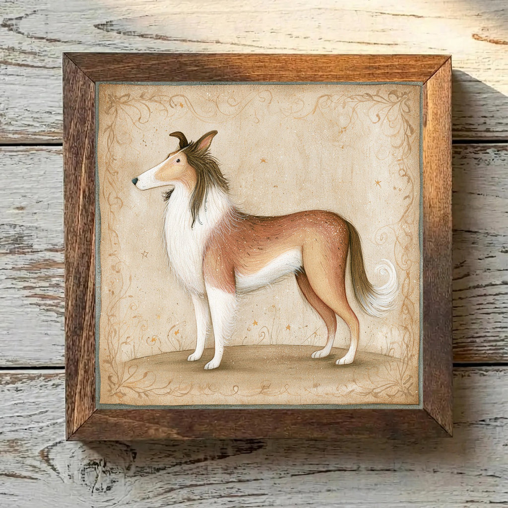 Collie Sable & White - Variation 2