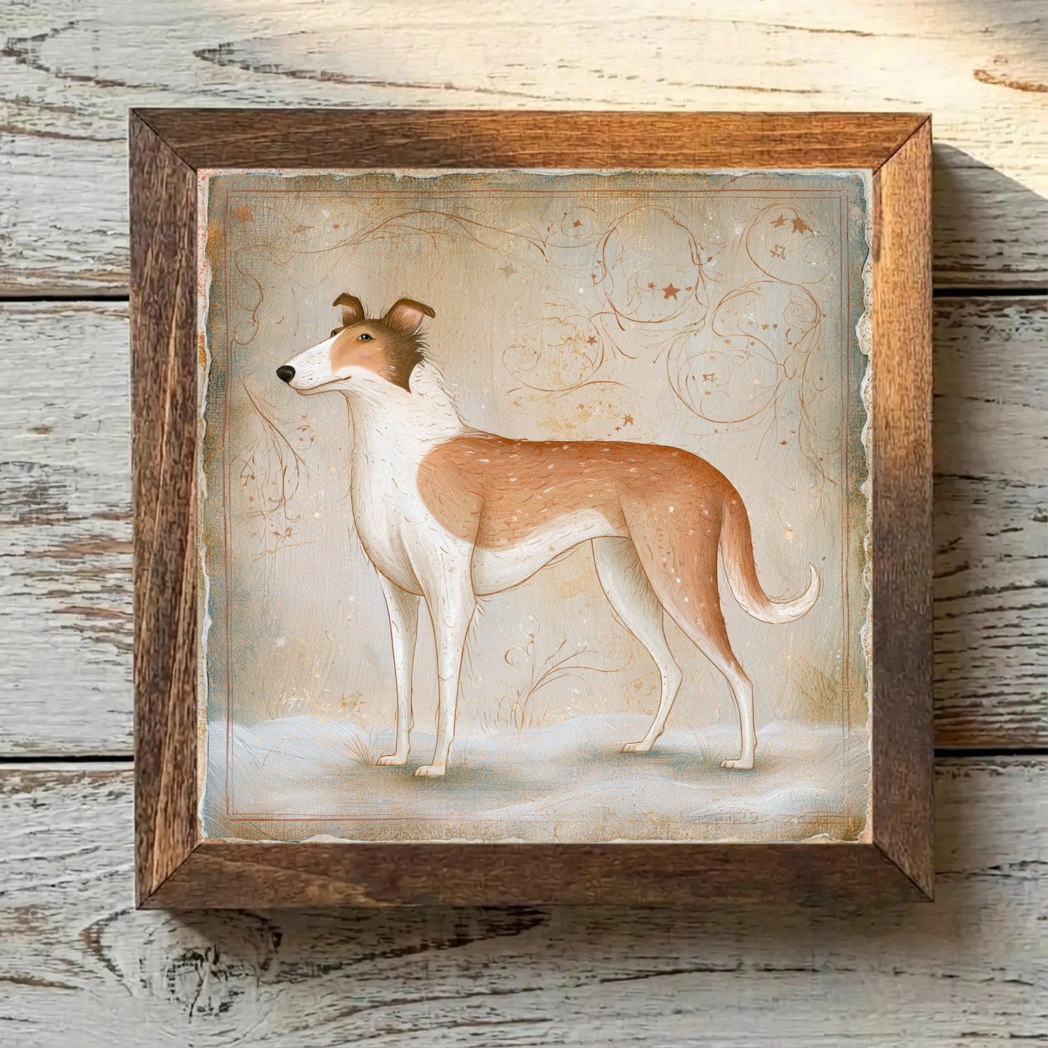 Collie Sable & White - Variation 3