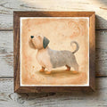 Dandie Dinmont Terrier Mustard - Variation 1