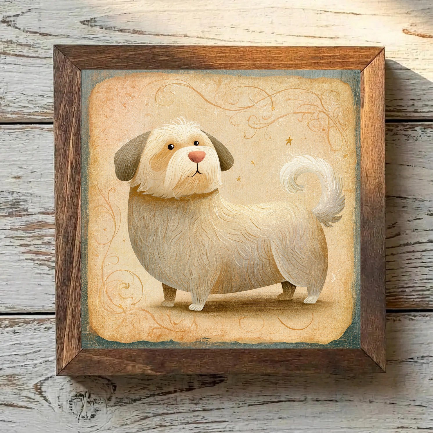 Dandie Dinmont Terrier Mustard - Variation 2