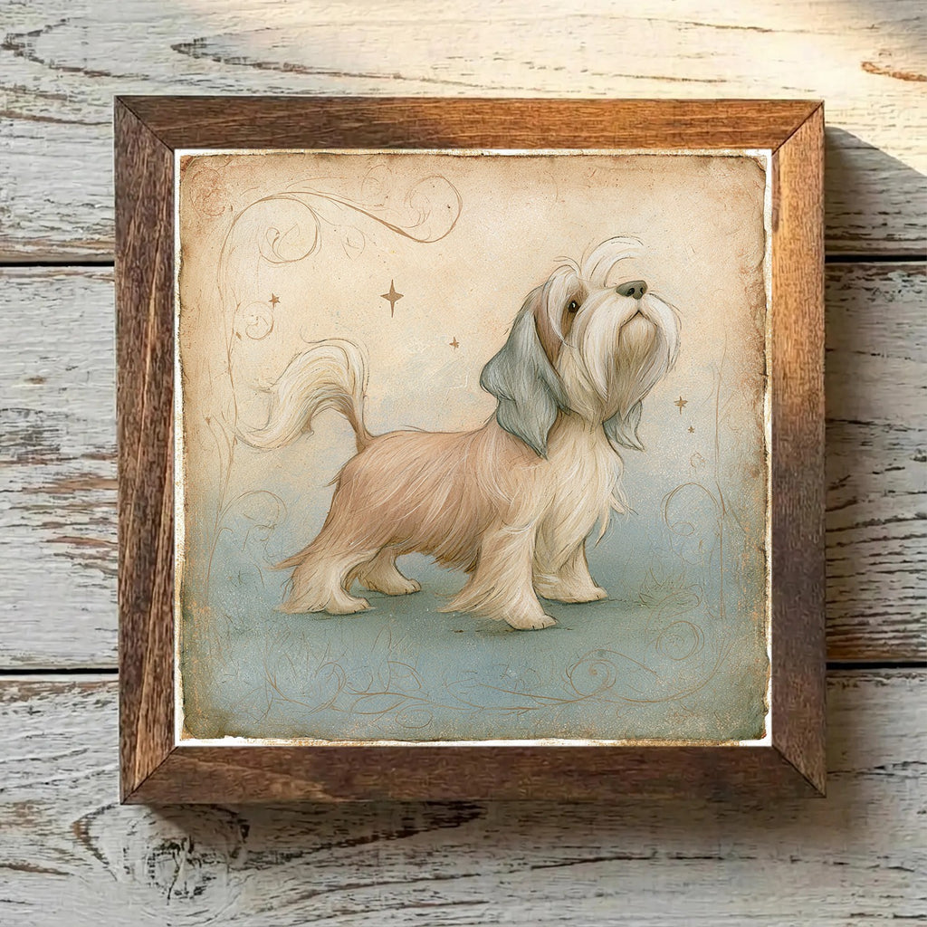 Dandie Dinmont Terrier Mustard - Variation 3