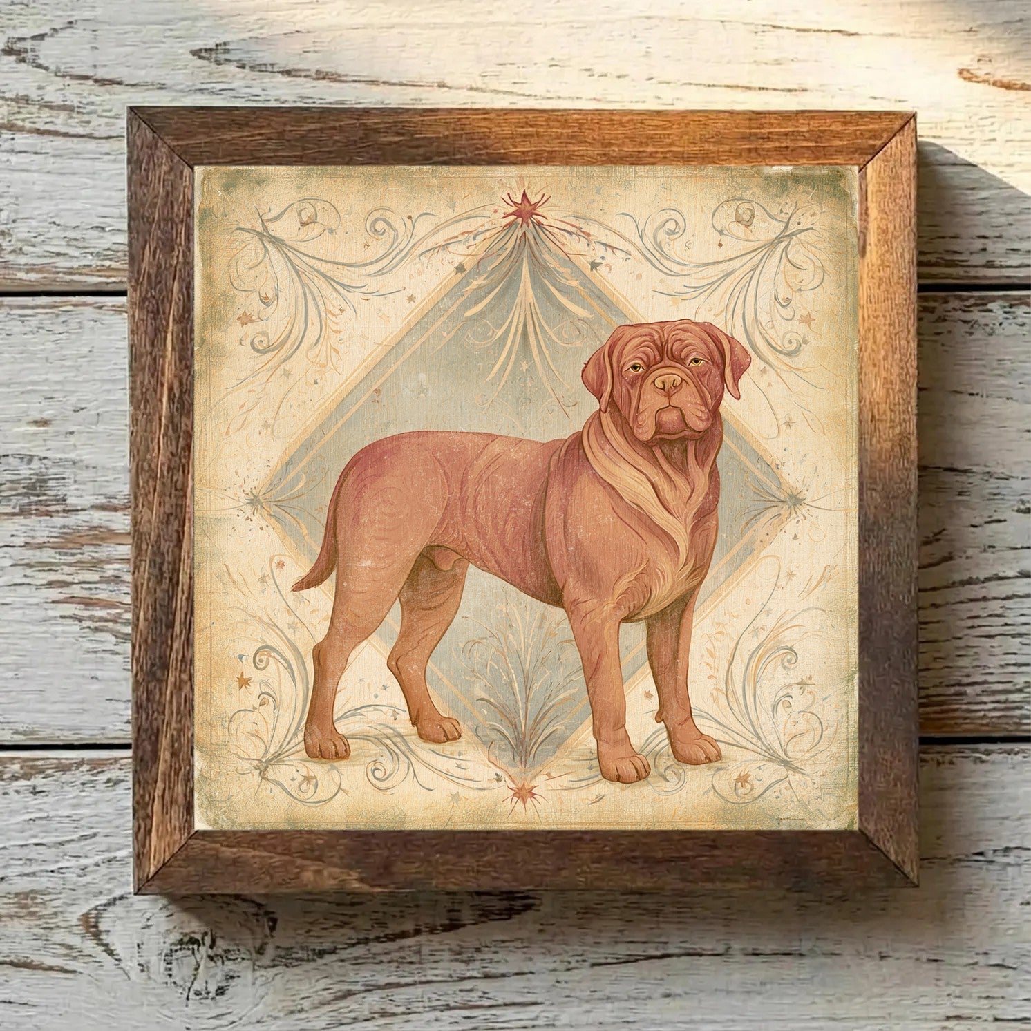 Dogue de Bordeaux Mahogany - Variation 3