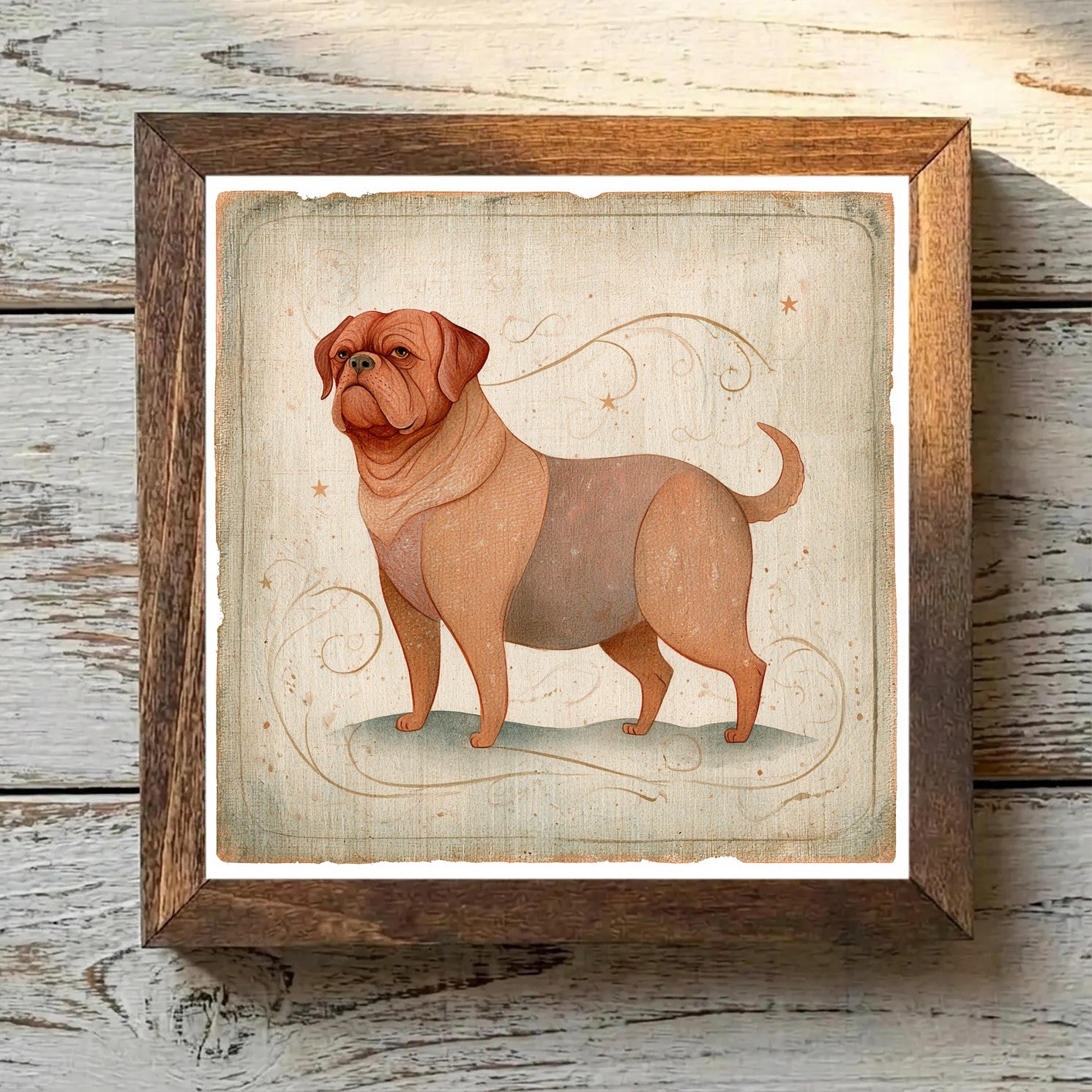 Dogue de Bordeaux Mahogany - Variation 4