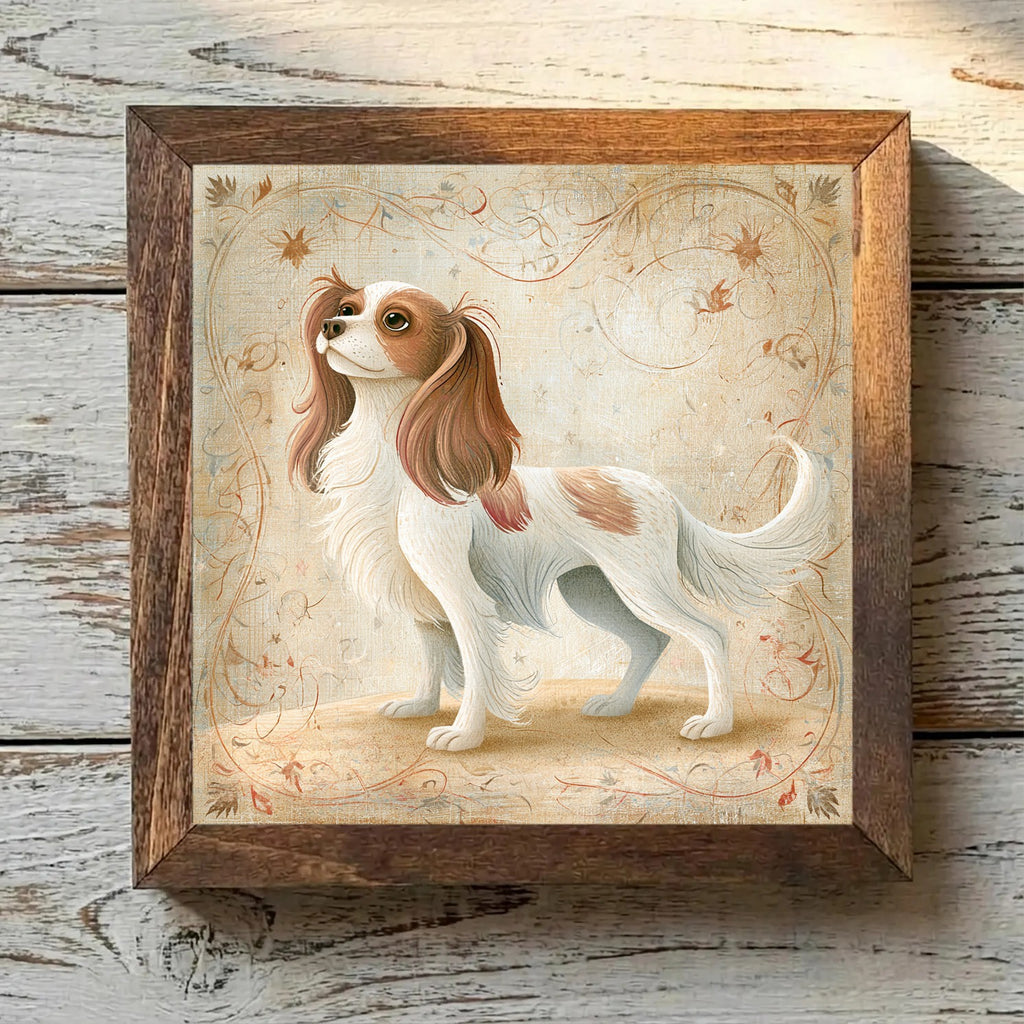English Toy Spaniel Blenheim - Variation 2