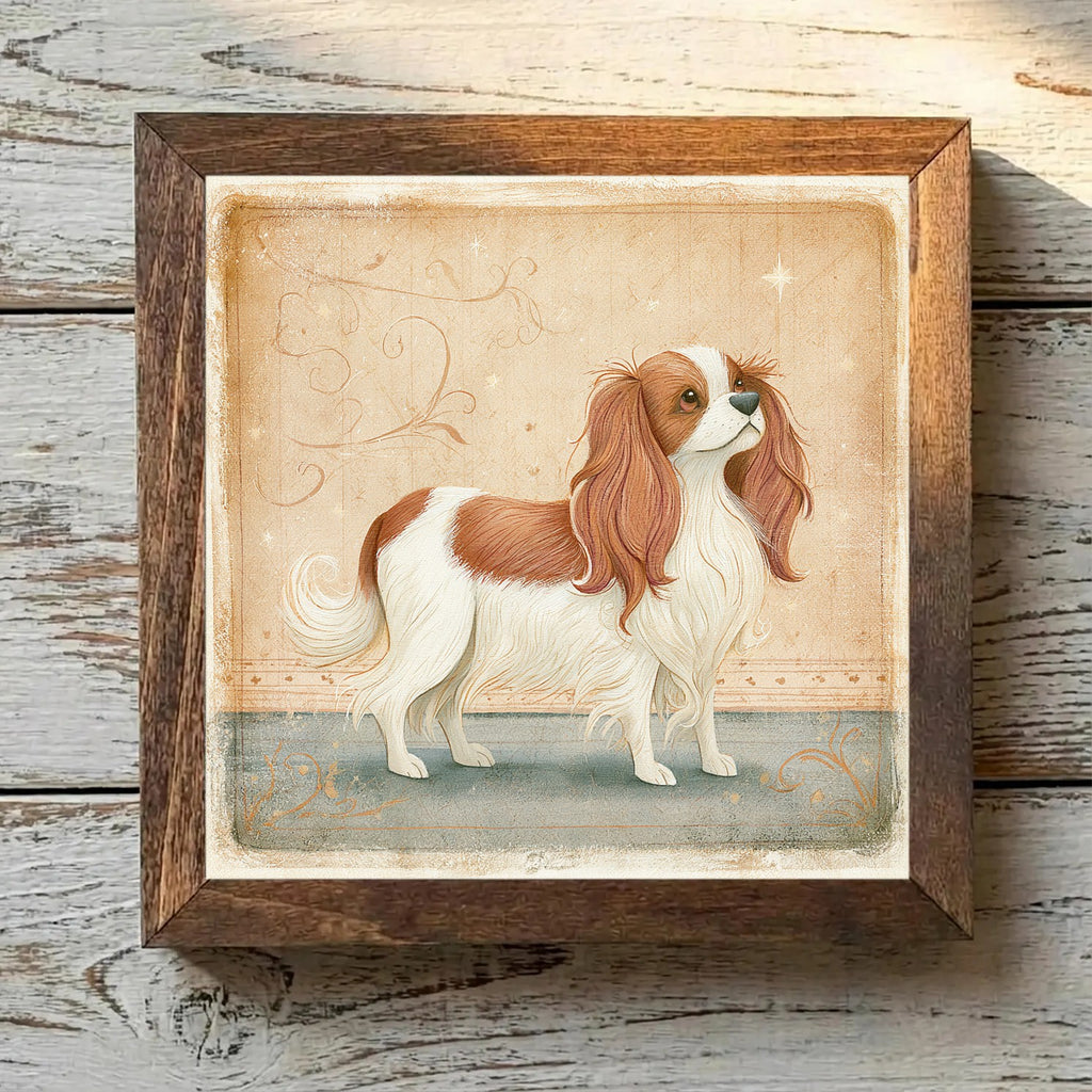 English Toy Spaniel Blenheim - Variation 3