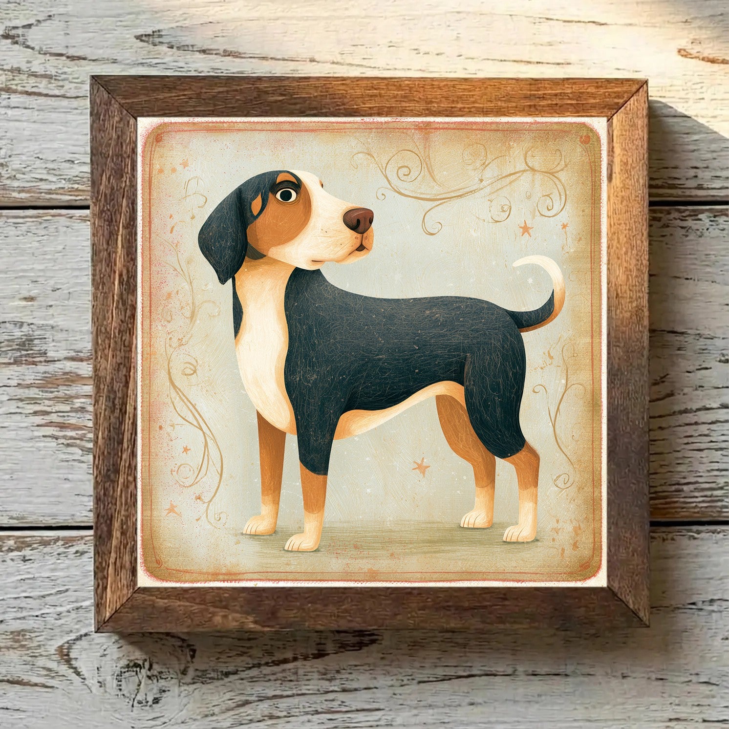 Entlebucher Mountain Dog Tricolor - Variation 1