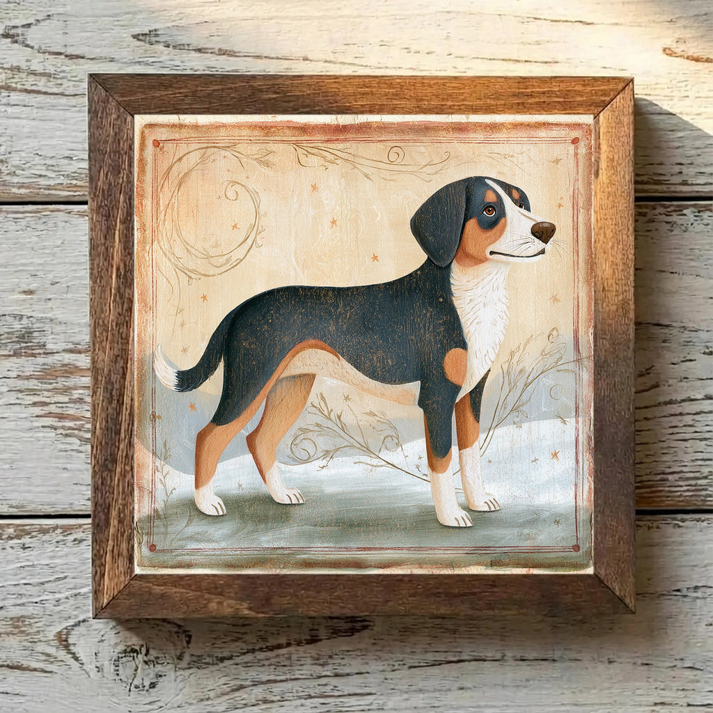 Entlebucher Mountain Dog Tricolor - Variation 2