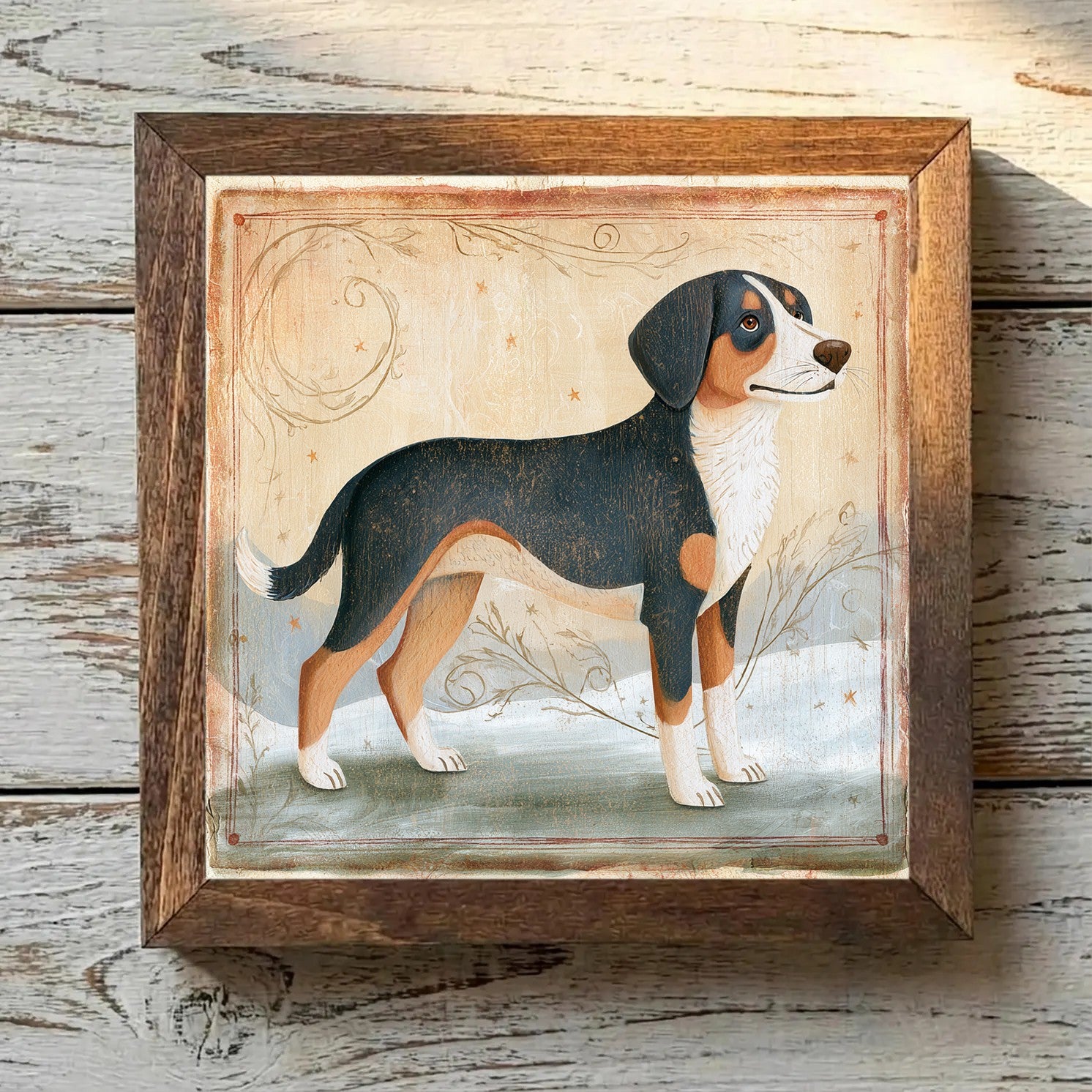 Entlebucher Mountain Dog Tricolor - Variation 2