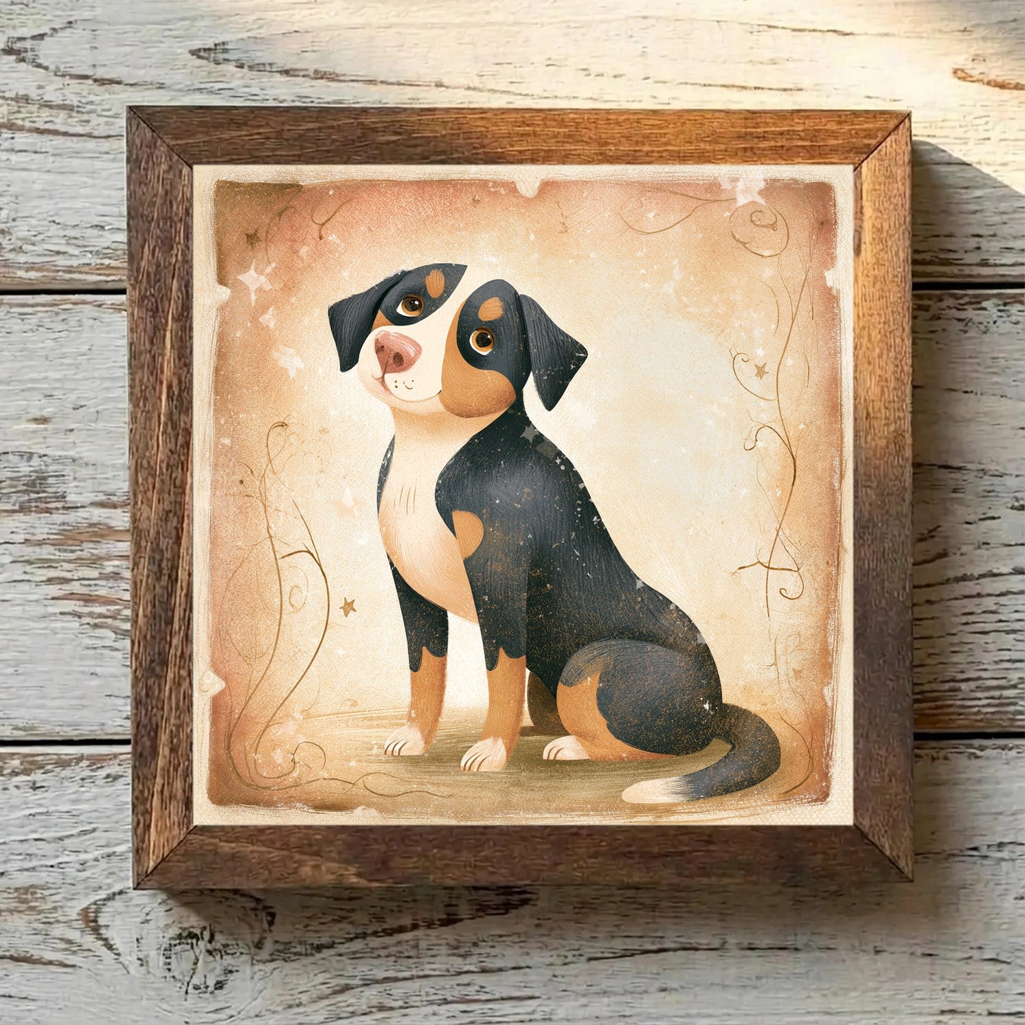 Entlebucher Mountain Dog Tricolor - Variation 3