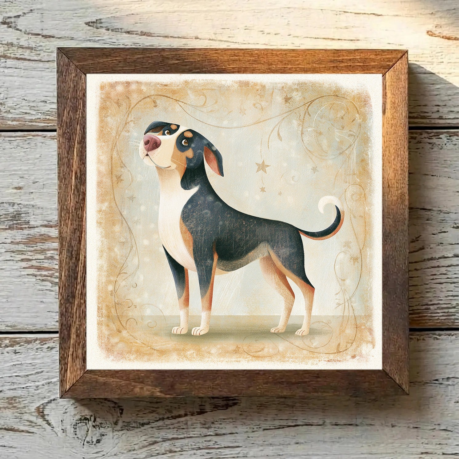 Entlebucher Mountain Dog Tricolor - Variation 4
