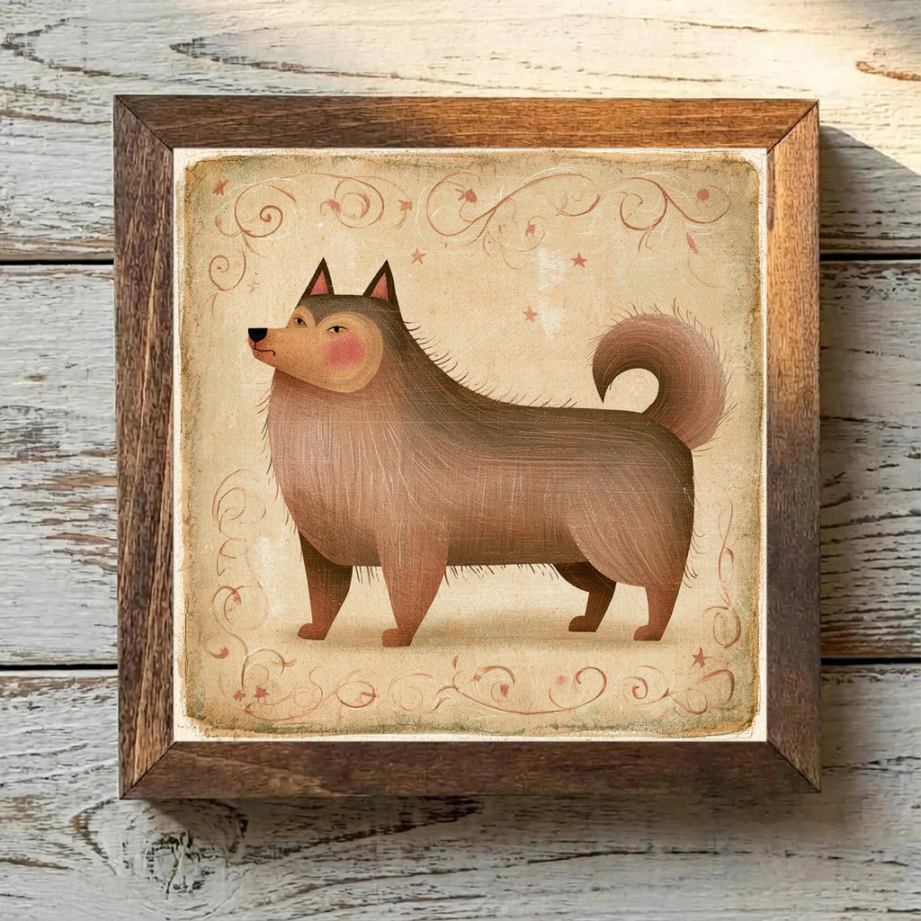Finnish Lapphund Brown - Variation 1