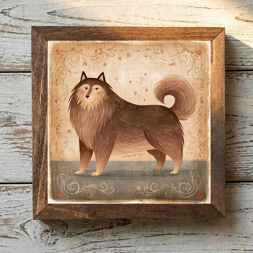 Finnish Lapphund Brown - Variation 2