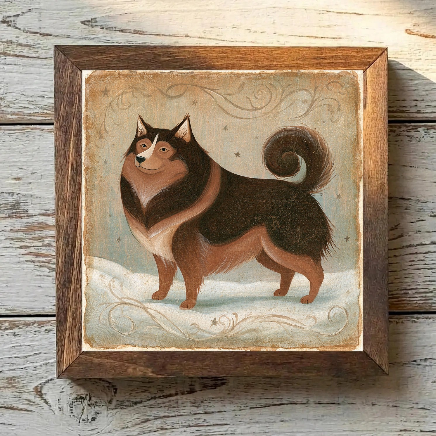 Finnish Lapphund Brown - Variation 3