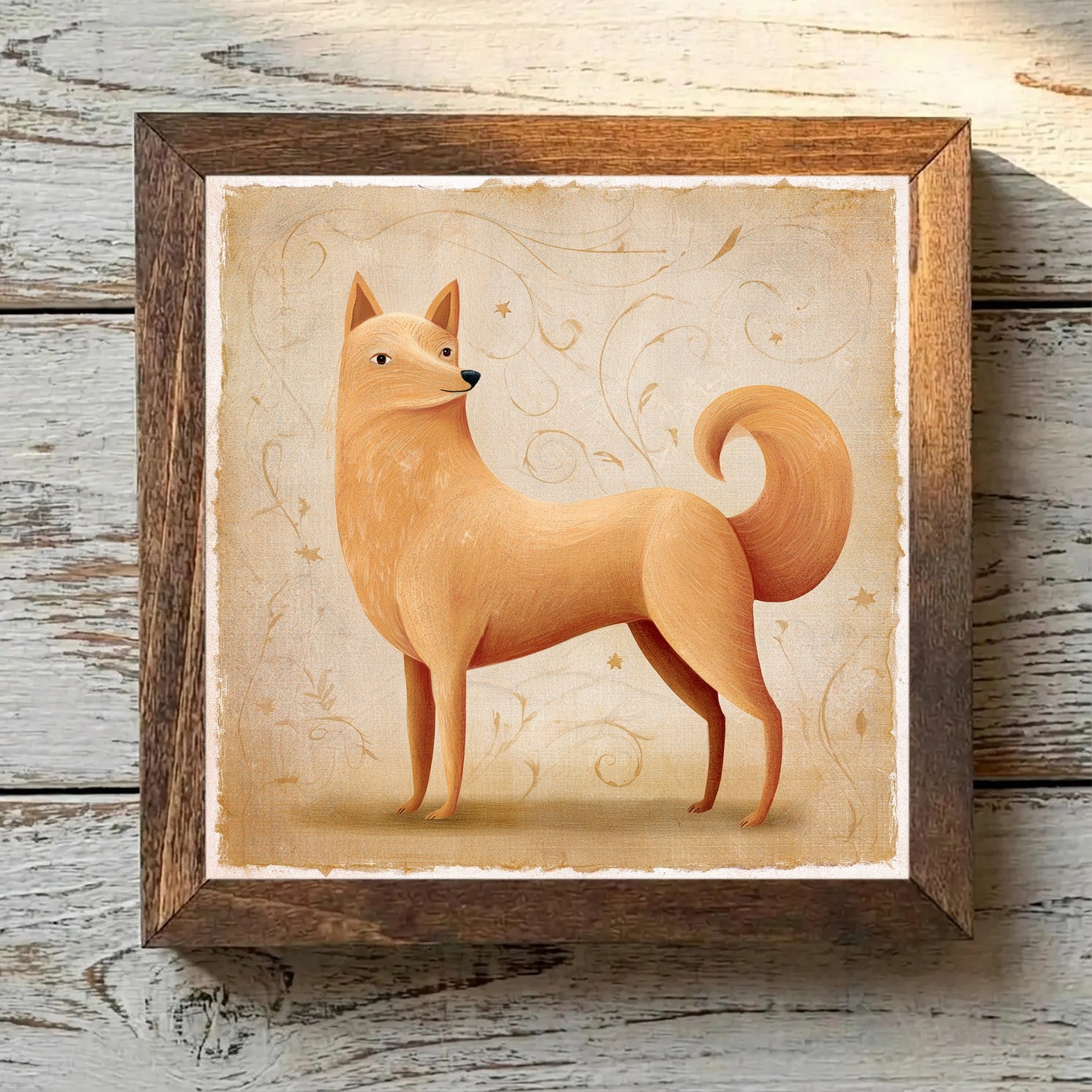 Finnish Spitz Golden-Red - Variation 2